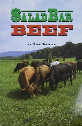 Salad bar beef - bar,